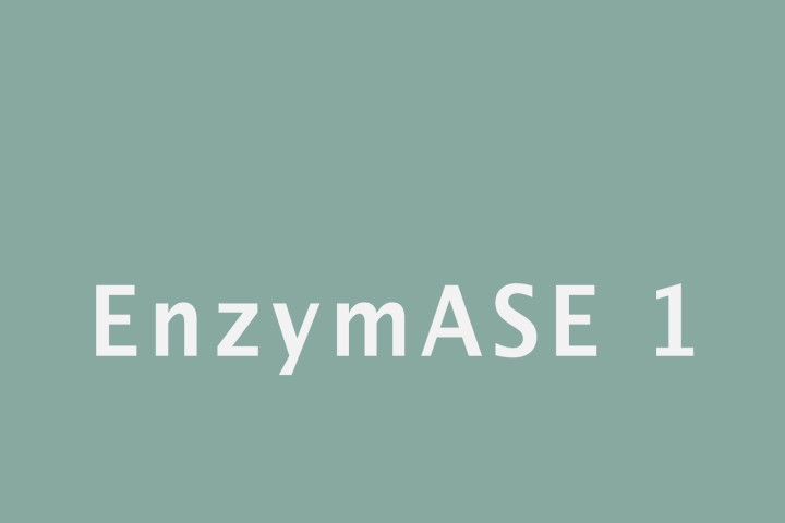 EnzymASE 1